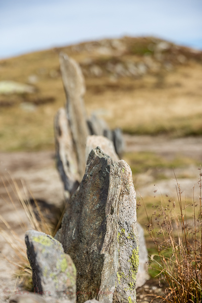 A field about depth of field