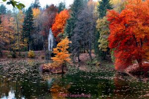 Lac des Gaillands in Autumn - Chamonix
