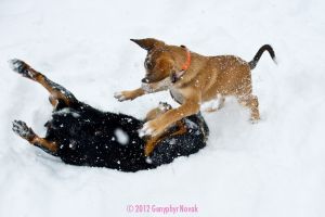 Grace and Kayla Playing