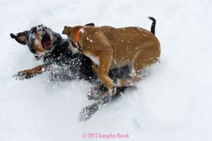 Grace and Kayla Playing